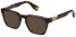 Police VPLN64-53 sunglasses in Shiny Havana
