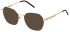 Mulberry VML244 sunglasses in Shiny Light Gold/Black