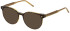 Mulberry VML242 sunglasses in Yellow Havana