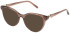 Furla VFU877 sunglasses in Transparent Brown