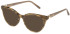 Furla VFU877 sunglasses in Striped Light Brown