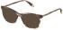 Furla VFU874 sunglasses in Striped Brown/Pink