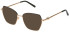Furla VFU871 sunglasses in Shiny Copper Gold/Black