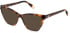 Furla VFU868 sunglasses in Shiny Dark Havana