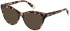 Furla VFU766 sunglasses in Brown Fantasy