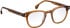 Entourage Of 7 JACKSON glasses in Brown/Brown