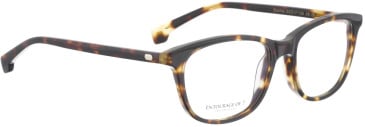 Entourage Of 7 SOPHIA glasses in Brown/Brown