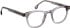 Entourage Of 7 JACKSON glasses in Crystal/Crystal