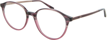 Ted Baker TB9219 glasses in Berry Tortoise
