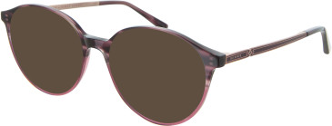 Ted Baker TB9219 sunglasses in Berry Tortoise