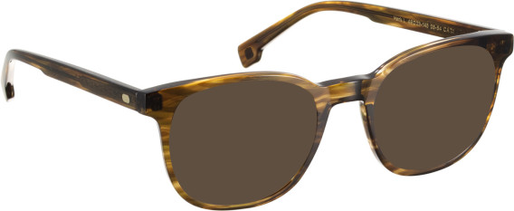Entourage Of 7 HANK-L sunglasses in Brown/Brown