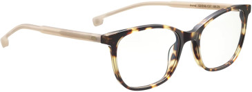 Entourage Of 7 AVIVA glasses in Brown/Brown