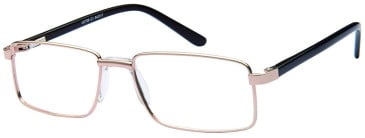 SFE-11567 glasses in Gold