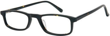 SFE-11593 glasses in Tortoise