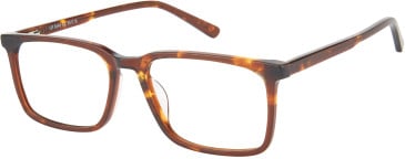 SFE-11594 glasses in Tortoiseshell