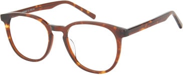 SFE-11596 glasses in Tortoiseshell