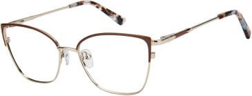 SFE-11611 glasses in Brown/Gold