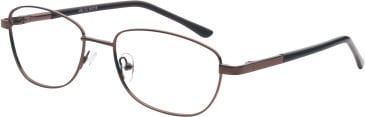 SFE-11678 glasses in Dark Brown