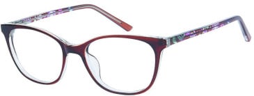 SFE-11509 glasses in Brown