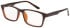 SFE-11519 glasses in Black/Honey