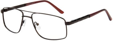SFE-11533 glasses in Brown