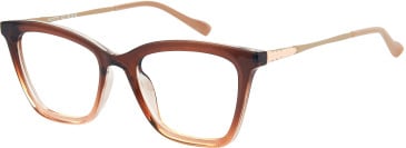 SFE-11554 glasses in Brown
