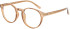 SFE-11665 glasses in Transparent Brown