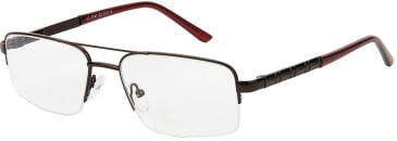 SFE-11530 glasses in Brown