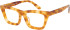 SFE-11599 glasses in Brown Demi