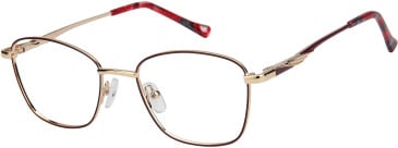 SFE-11614 glasses in Maroon/Gold