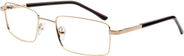 SFE-11637 glasses in Gold