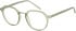 SFE-11670 glasses in Olive