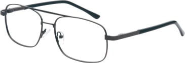 SFE-11679 glasses in Silver