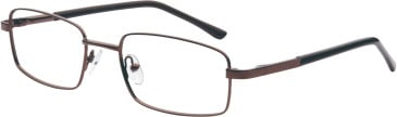 SFE-11681 glasses in Brown