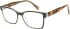 SFE-11667 glasses in Brown