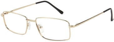 SFE-11636 glasses in Gold