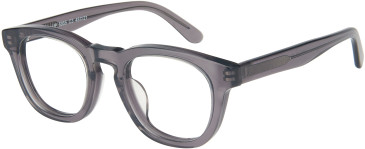 SFE-11598 glasses in Grey