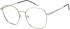 SFE-11545 glasses in Gun