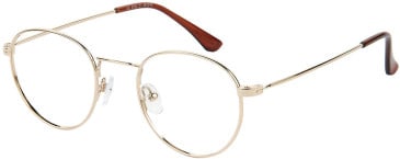 SFE-11535 glasses in Gold