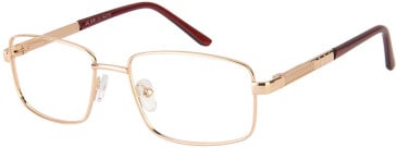 SFE-11534 glasses in Gold