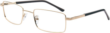 SFE-11680 glasses in Gold