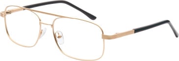 SFE-11679 glasses in Gold