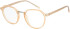 SFE-11670 glasses in Brown