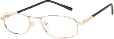 SFE-11666 glasses in Gold
