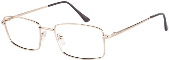 SFE-11638 glasses in Gold