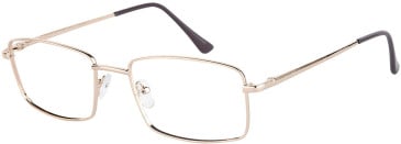 SFE-11638 glasses in Gold