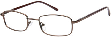 SFE-11628 glasses in Brown