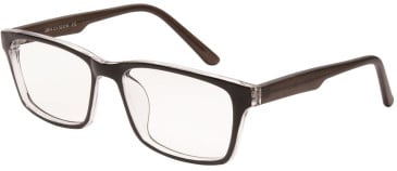 SFE-11519 glasses in Black/Clear