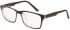 SFE-11519 glasses in Black/Clear