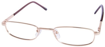 SFE-11676 glasses in Gold